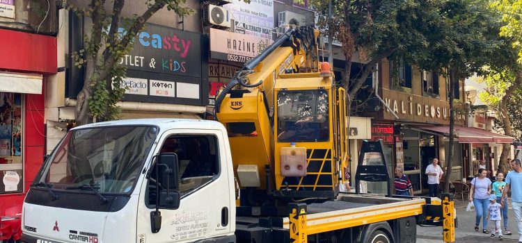 Gelibolu Sepetli Platform Vinç